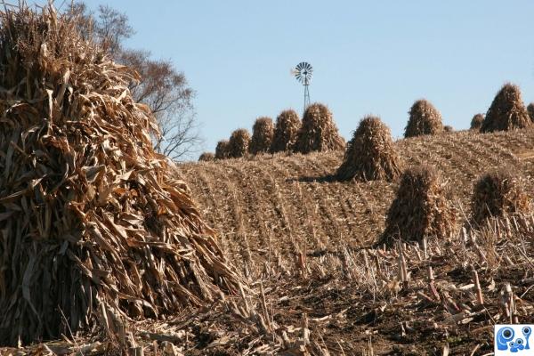 Harvesting Crops